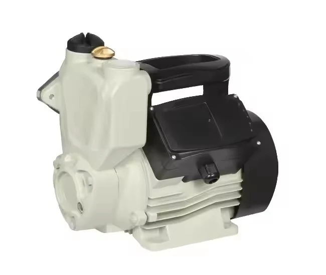 Energy Saving WZB200 Peripheral Pump High Efficiency 0.75kW suppliers