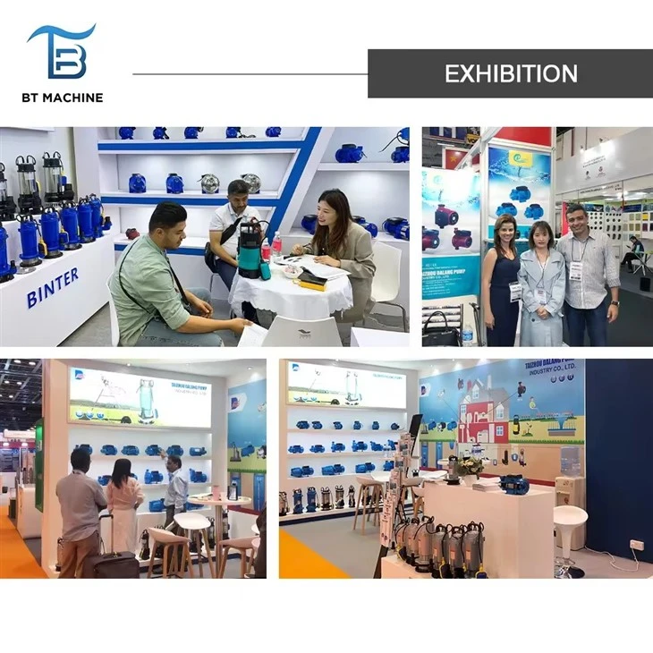 Professional 65WQ25-35-5.5Dirty Waste Water Drainage Submersible Pump Professional 65WQ25-35-5.5Dirty Waste Water Drainage Submersible Pump