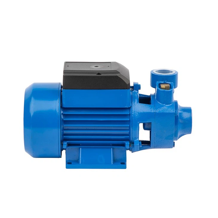 QB80 1HP Peripheral Clean Water Pump